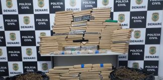 Cerca de 300 quilos de maconha são apreendidos durante operação do Denarc em Esplanada Drogas foram apreendidas pelo Denarc — Foto: SSP/SE