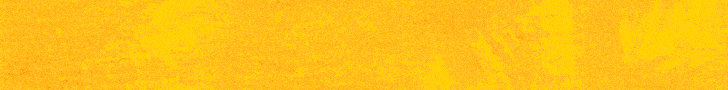 BAHIA BEER - WEB BANNER 728 X 90 (1)